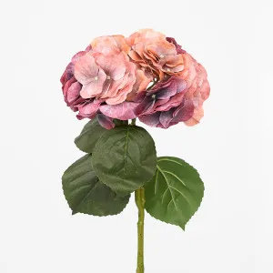 Real Touch Hydrangea 64cm Dark Rust by Florabelle Living, a Plants for sale on Style Sourcebook