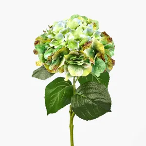Real Touch Hydrangea 64cm Green by Florabelle Living, a Plants for sale on Style Sourcebook