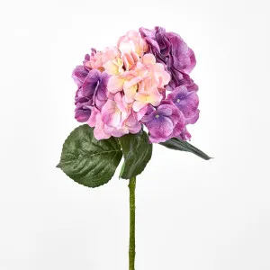 Real Touch Hydrangea 64cm Pink by Florabelle Living, a Plants for sale on Style Sourcebook