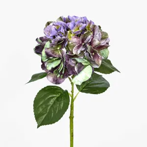 Real Touch Hydrangea 64cm Purple by Florabelle Living, a Plants for sale on Style Sourcebook