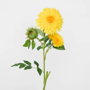 Sunflower Spray With 3 Flowers Yellow by Florabelle Living, a Plants for sale on Style Sourcebook