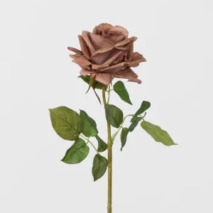 Real Touch Rose Stem Brown by Florabelle Living, a Plants for sale on Style Sourcebook