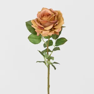 Real Touch Rose Stem Light Brown by Florabelle Living, a Plants for sale on Style Sourcebook