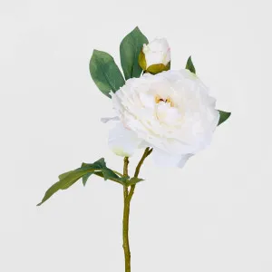 Peony With Bud Stem White by Florabelle Living, a Plants for sale on Style Sourcebook