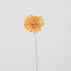 Gerbera Stem Orange by Florabelle Living, a Plants for sale on Style Sourcebook
