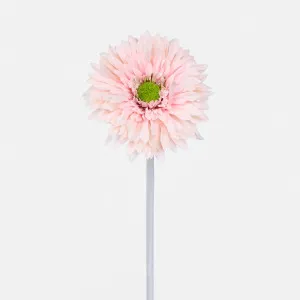 Gerbera Stem Pink by Florabelle Living, a Plants for sale on Style Sourcebook