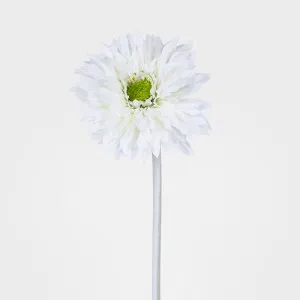 Gerbera Stem White by Florabelle Living, a Plants for sale on Style Sourcebook