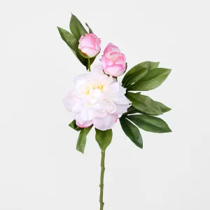 Peony With Two Buds Stem Dark Pink by Florabelle Living, a Plants for sale on Style Sourcebook