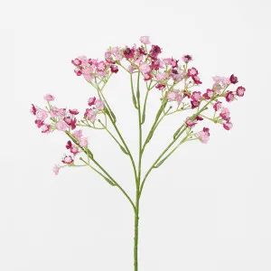 Baby's Breath Stem Burgundy by Florabelle Living, a Plants for sale on Style Sourcebook