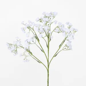 Baby's Breath Stem White by Florabelle Living, a Plants for sale on Style Sourcebook