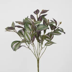 Wandering Jew leaf Spray Purple by Florabelle Living, a Plants for sale on Style Sourcebook