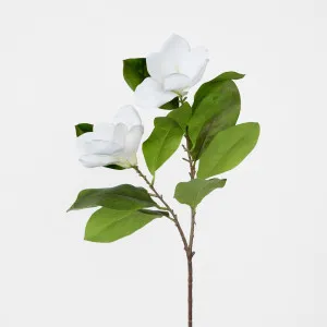 Magnolia Stem White by Florabelle Living, a Plants for sale on Style Sourcebook