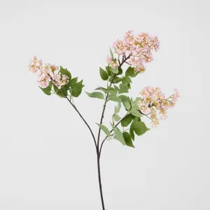 Snow Fruit Stem Pink by Florabelle Living, a Plants for sale on Style Sourcebook