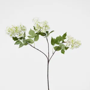 Snow Fruit Stem White by Florabelle Living, a Plants for sale on Style Sourcebook
