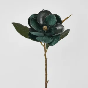 Single Magnolia with 2 Leaves Green by Florabelle Living, a Plants for sale on Style Sourcebook