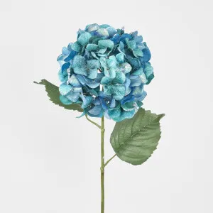 Single Hydrangea with 2 Leaves Teal by Florabelle Living, a Plants for sale on Style Sourcebook