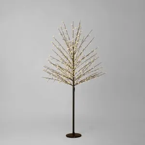 Standard Tree 150cm with 580 LED Black by Florabelle Living, a Christmas for sale on Style Sourcebook