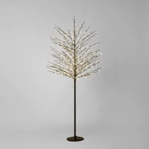 Standard Tree 180cm with 900 LED Black by Florabelle Living, a Christmas for sale on Style Sourcebook