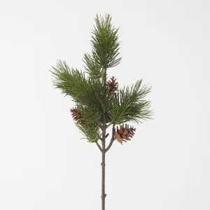 Pine Cone Stem by Florabelle Living, a Christmas for sale on Style Sourcebook
