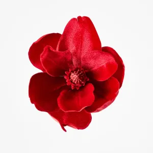 Luxe Velvet Clip On Magnolia Small Red by Florabelle Living, a Plants for sale on Style Sourcebook