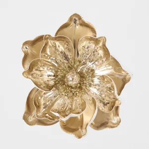 Metallic Clip on Magnolia Gold by Florabelle Living, a Plants for sale on Style Sourcebook