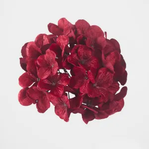 Opulence Velvet Hydrangea Flower Clip On Red by Florabelle Living, a Plants for sale on Style Sourcebook