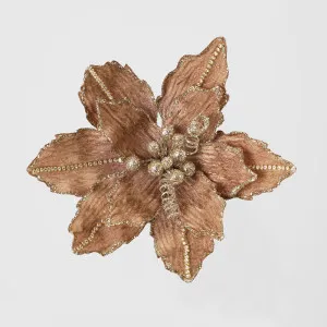 Velvet Crystal Clip on Poinsettia Champagne by Florabelle Living, a Plants for sale on Style Sourcebook