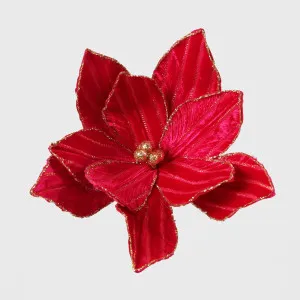 Velvet Stripe Clip on Poinsettia Fuchsia by Florabelle Living, a Plants for sale on Style Sourcebook