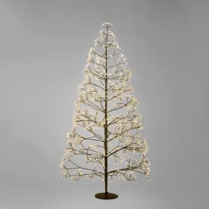 Bare Forest Tree 210cm with 3000 LED Black by Florabelle Living, a Christmas for sale on Style Sourcebook