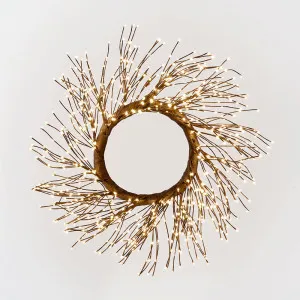 Starry Wreath 60cm with 936 LED Brown by Florabelle Living, a Christmas for sale on Style Sourcebook