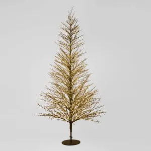 Giant Black Forest Tree 240cm with 4060 LED by Florabelle Living, a Christmas for sale on Style Sourcebook