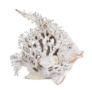Bondi Angelfish White by Florabelle Living, a Statues & Ornaments for sale on Style Sourcebook