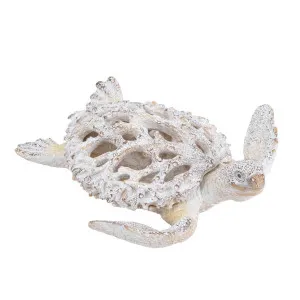 Bondi Turtle Statue White by Florabelle Living, a Statues & Ornaments for sale on Style Sourcebook
