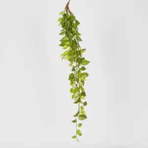 101cm Hanging Green Philo by Florabelle Living, a Plants for sale on Style Sourcebook