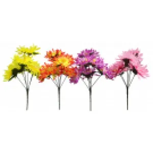 Waterlily Bush Sold in Box Qty Only by Florabelle Living, a Plants for sale on Style Sourcebook