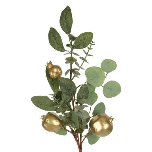 Chou Golden Pomegranate Stem by Florabelle Living, a Plants for sale on Style Sourcebook