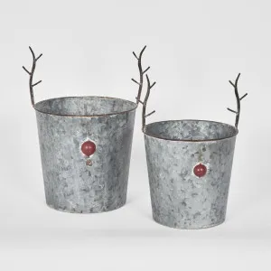 Red Nose And Antler Pots by Florabelle Living, a Christmas for sale on Style Sourcebook