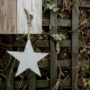 Snow White Star Small by Florabelle Living, a Christmas for sale on Style Sourcebook