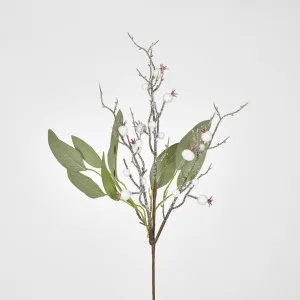 Leaf Spray Branch with Snow Berry by Florabelle Living, a Plants for sale on Style Sourcebook