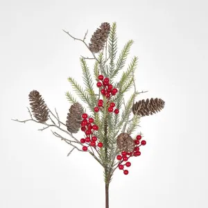 Berry & Pinecone Spray by Florabelle Living, a Plants for sale on Style Sourcebook