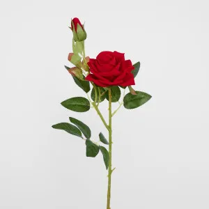Red Rose Stem With Bud by Florabelle Living, a Plants for sale on Style Sourcebook