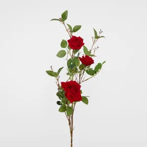 Red Rose Spray With 3 Heads by Florabelle Living, a Plants for sale on Style Sourcebook
