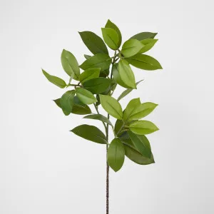 Leaf Stem by Florabelle Living, a Plants for sale on Style Sourcebook