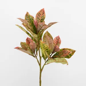 Croton Leaf by Florabelle Living, a Plants for sale on Style Sourcebook