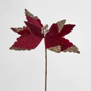 Poinsettia 35cm by Florabelle Living, a Plants for sale on Style Sourcebook