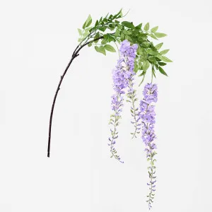 Lavender Wisteria by 3 by Florabelle Living, a Plants for sale on Style Sourcebook