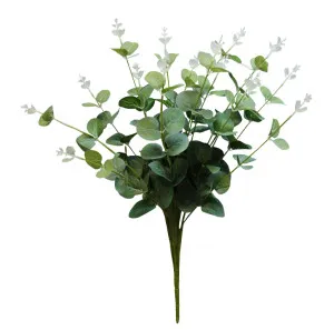 Natural Green Eucalyptus Bush by Florabelle Living, a Plants for sale on Style Sourcebook
