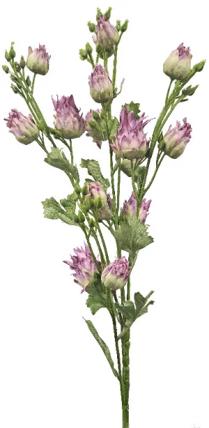 Purple Blushing Bride Spray by Florabelle Living, a Plants for sale on Style Sourcebook