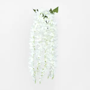 Hanging Vanda Orchid Spray by Florabelle Living, a Plants for sale on Style Sourcebook
