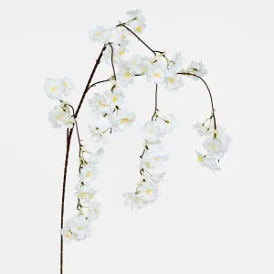 Trailing Cherry Blossom Stem White by Florabelle Living, a Plants for sale on Style Sourcebook